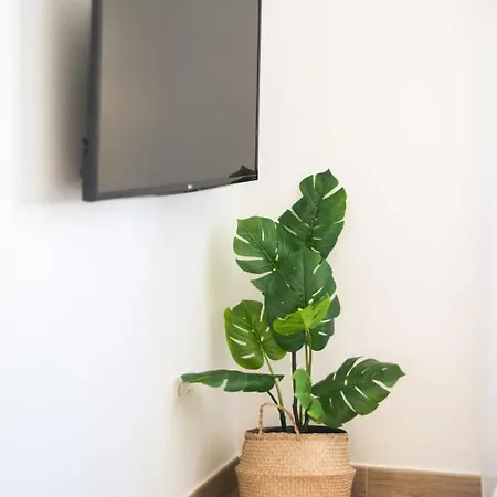 Magec Cruz Apartmán