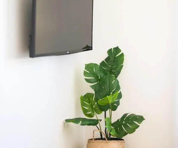 Magec Cruz Appartement